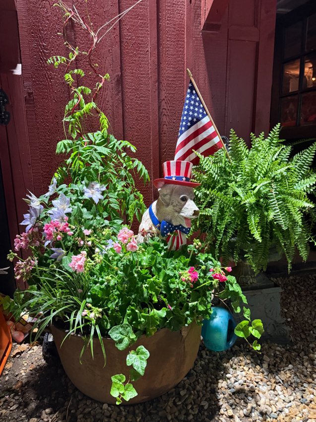 Flowers and greenery bring color to a container beside a red building.